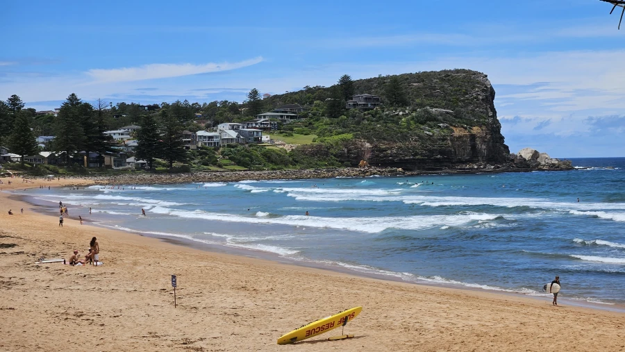 Avalon Beach Jan 2025