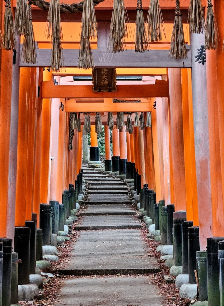 Fushimi Inari Taisha. The Torii Gates