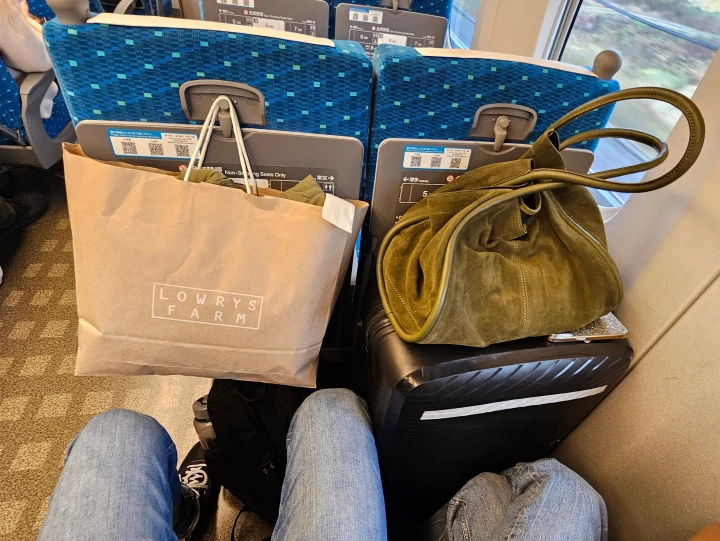 Shinkansen. Leg space